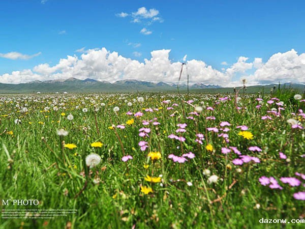 必威西汉姆联网页关于期末考试的有关规定