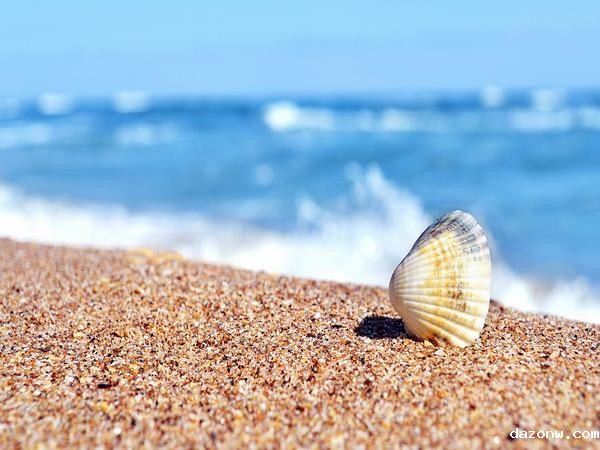 必威西汉姆联网页系部教学工作考核办法 （试行）