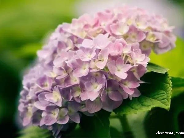 必威西汉姆联网页课程负责人制度实施办法 (试行)