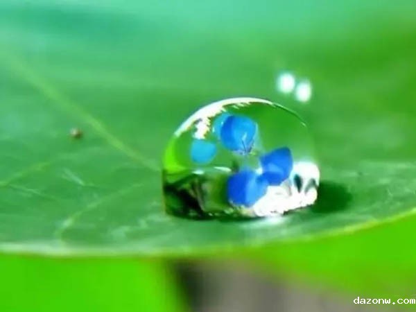 必威西汉姆联网页关于制定学期教学进度计划的规定 （修订版）