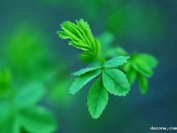 必威西汉姆联网页教师绩效考核暂行办法