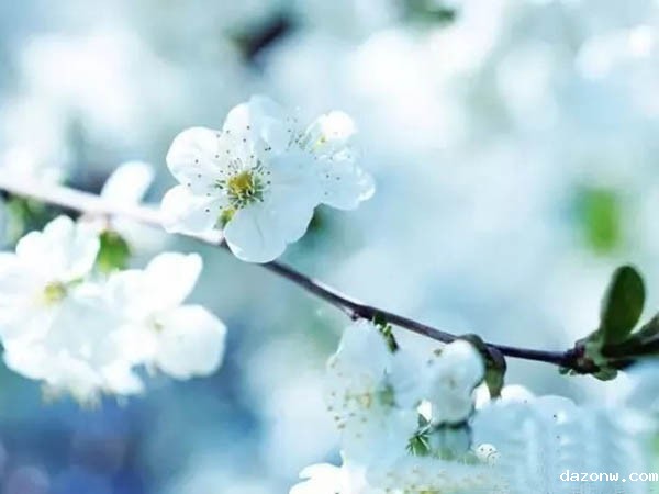 必威西汉姆联网页系部教学工作考核办法 （试行）