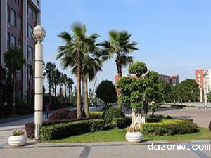 必威西汉姆联网页专业负责人管理办法 （试行）