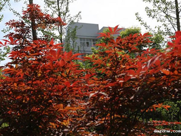 教育部关于进一步推进职业教育信息化发展的指导意见