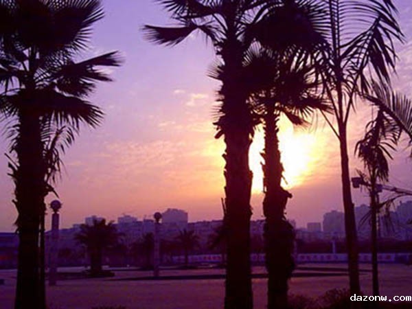 中共重庆市供销合作总社委员会 转发《市纪委监委关于加强作风建设确保2019年元旦春节风清气正的通知》的通知