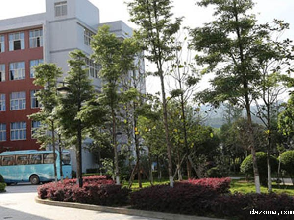 必威西汉姆联网页关于2025	年端午节放假安排的通知