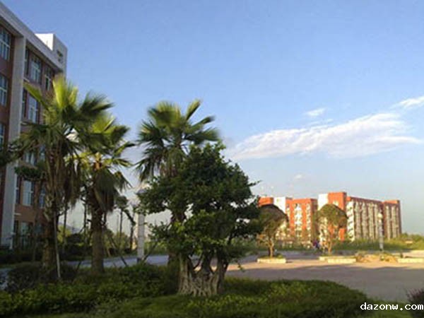 新普科技（重庆）有限公司