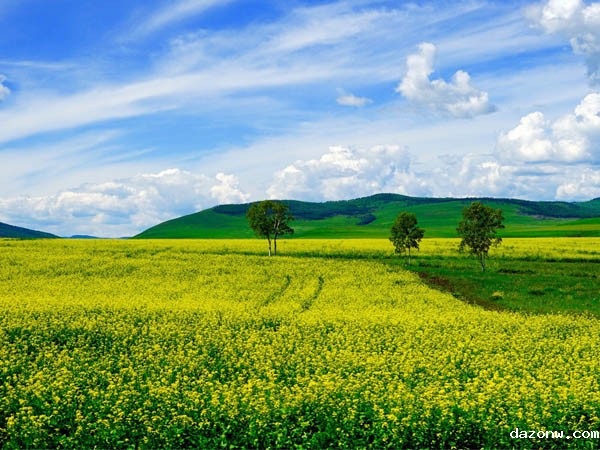 致伸科技（重庆）有限公司