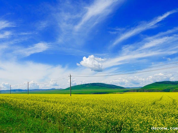 必威西汉姆联网页 教学事故认定处理办法