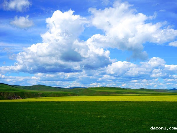 学党史  悟思想  办实事  开新局