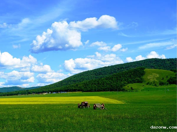 学校篮球馆改造工程监理招标公告