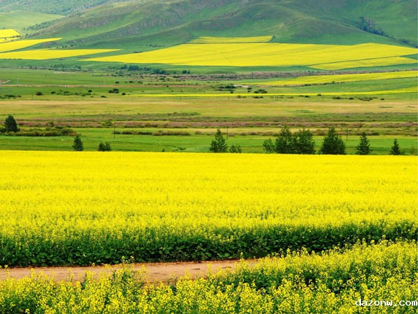 计算机动漫与游戏制作专业人才培养方案