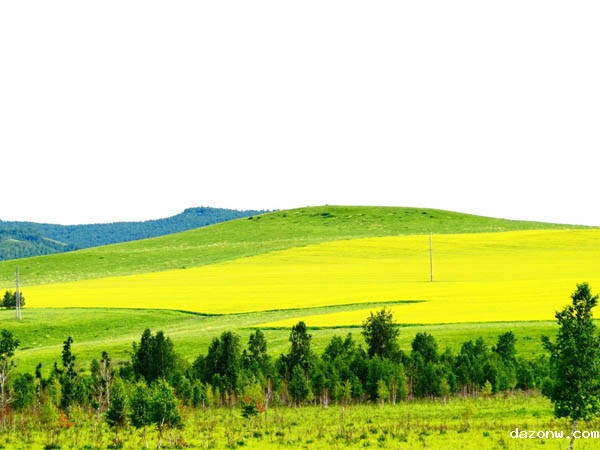 学校汽车智慧教室采购招标公告