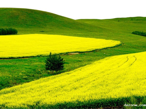 教育部关于加强大中小学国家安全教育的实施意见