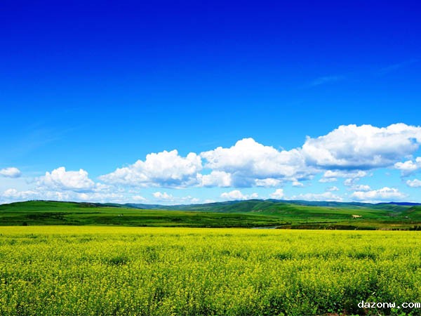必威西汉姆联网页关于期末考试的有关规定