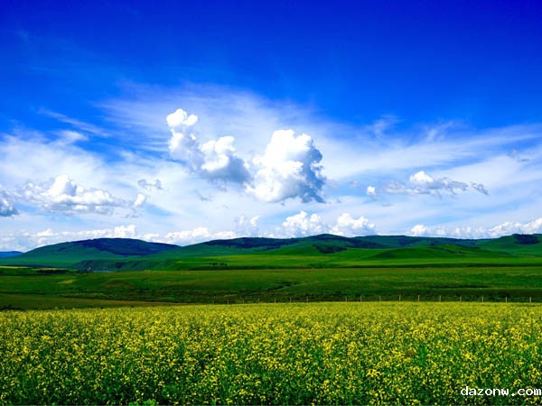 必威西汉姆联网页 兼职教师管理办法（试行）