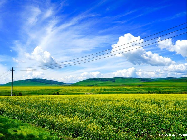 中共重庆市纪委关于四起违反中央八项规定精神问题的通报