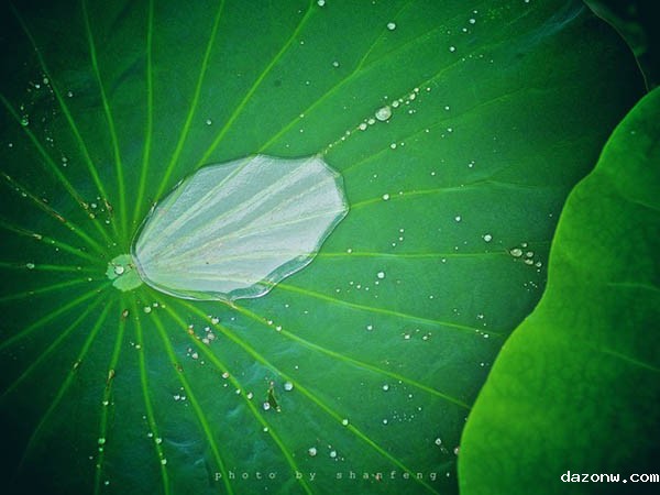 必威西汉姆联网页专业负责人管理办法 （试行）